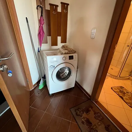 D50 Cedar 4 * Бансько