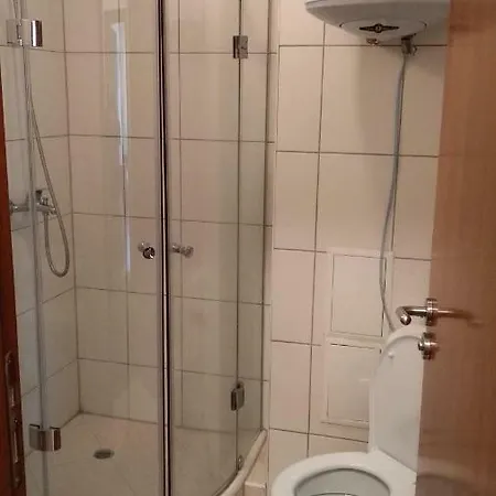 D50 Cedar 4 班斯科