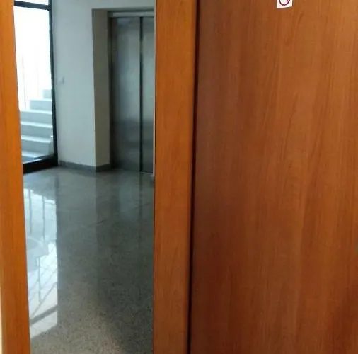 D50 Cedar 4 班斯科