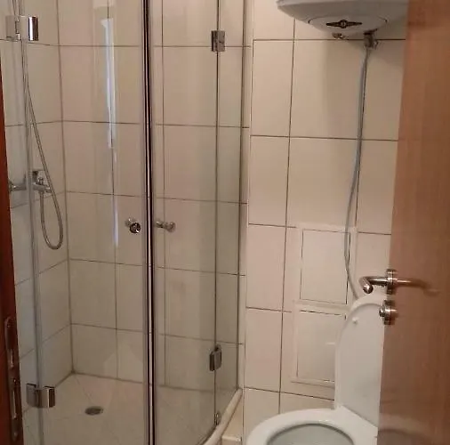 D50 Cedar 4 班斯科